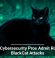 U.S. Cybersecurity Pros Admit Role in BlackCat Attacks